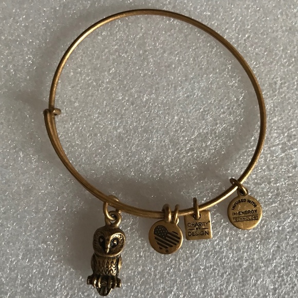 Alex and Ani Expandable Wire Bracelet - Picture 4 of 7